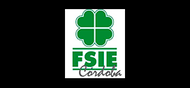 logo-FSIE